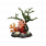 珊瑚礁