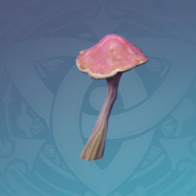 锦葵筑锋菇.png