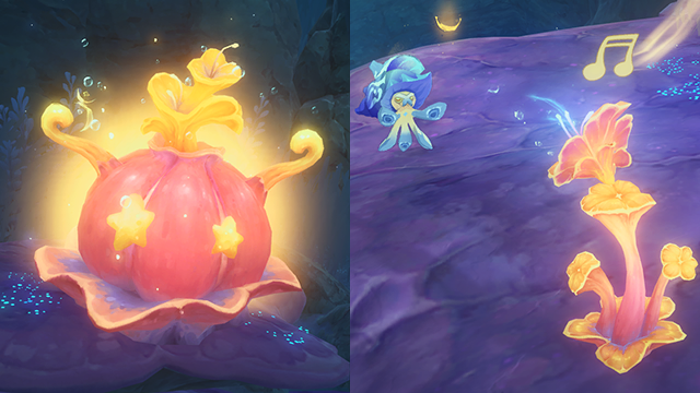 教程：妙音花与异彩海葵·2.png