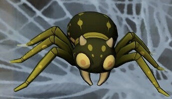 蜘蛛.png