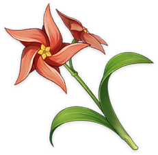 无背景-特产-风车菊.png