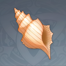 奇异的海螺.png