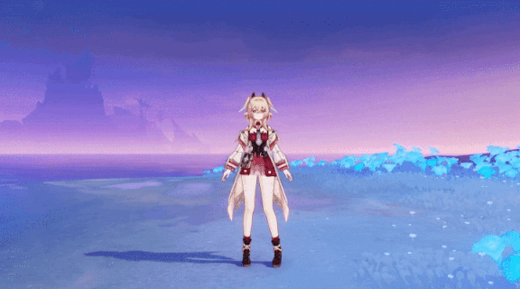 捕获方案.gif