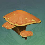 沙褐穹窿菇.png