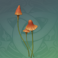曦红摇曳菇.png