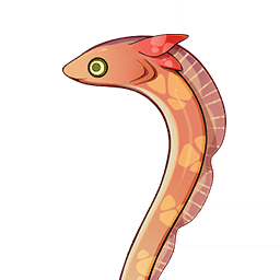 无背景-野生生物-图标-赤鳍陆鳗鳗.png