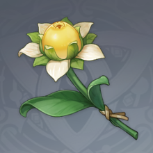 甜甜花.png