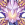 掣电树.png