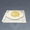 奇怪的提瓦特煎蛋.png
