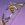 冷寂迸音.png