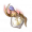 利露帕尔
