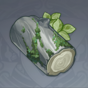桤木.png