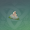 鱼脂白烛-「傍明」.png