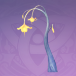 「浮于天空的奇迹」.png