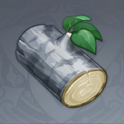银冷杉木.png