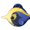无背景-野生生物-图标-月光雪圆鳍.png