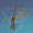 「渔采的择取机网」.png