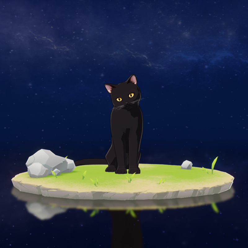 黑猫详图.png