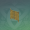 御伽木「近竹」围栏.png