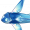 虹晶星花鱼