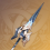 灾悔.png
