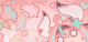 瓦雷莎·力源.png