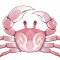 无背景-野生生物-图标-薄红蟹.png
