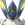蕴光月幻蝶.png