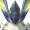 蕴光月幻蝶