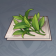 沉玉仙茗