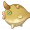吹沙角鲀