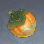 夏槲果.png