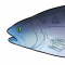 无背景-野生生物-图标-蓝鳍鲈鱼.png