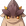 阿瓜拉.png