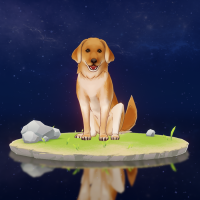 琥珀猎犬详图.png