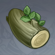 夏栎木.png