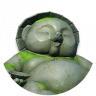 五百藏.png