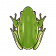 青蛙