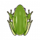 无背景-野生生物-图标-青蛙.png
