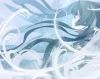 海报-雪国的妖精.png