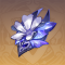深廊终曲生之花.png