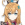 爱可菲.png