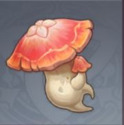 红果果菇.png