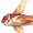 赤甜星花鱼