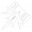 曙光预言