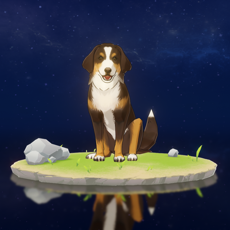 深栗猎犬详图.png