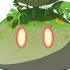 大型草史莱姆.png