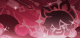 塔利雅·天职.png