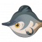 无背景-野生生物-图标-炭灰雪圆鳍.png