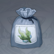 「海草」的种子.png